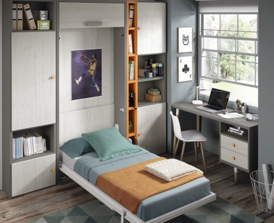 Chambre composée de lit escamotable, bureau et étagères